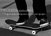스케이트보드중 한가지인 롱보드(longboard)