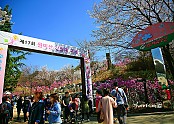 진달래꽃동산에서 열린 원미산 진달래축제2017